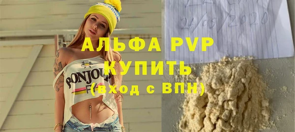 ECSTASY Пересвет