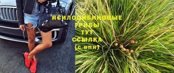 ECSTASY Пересвет
