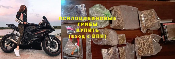 соль ск Осинники